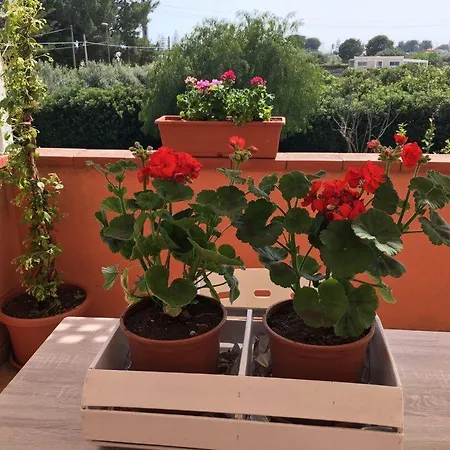 La Stanza Delle Muse In Con Piscina *