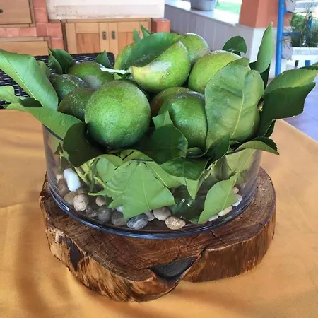 Alloggio in famiglia La Stanza Delle Muse In Con Piscina *